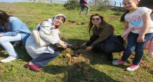 Osmangazi İmam Hatip Ortaokulu Hatıra Ormanı