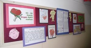 organ bağışı