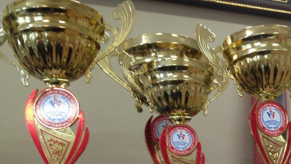 Muhsine Zeynep Ortaokulu ; 2016-2017 Sportif Başarılarımız