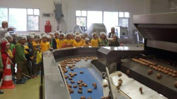 Güzide Yılmaz İlkokulu-Ekmek Yapımını Yerinde Gördük